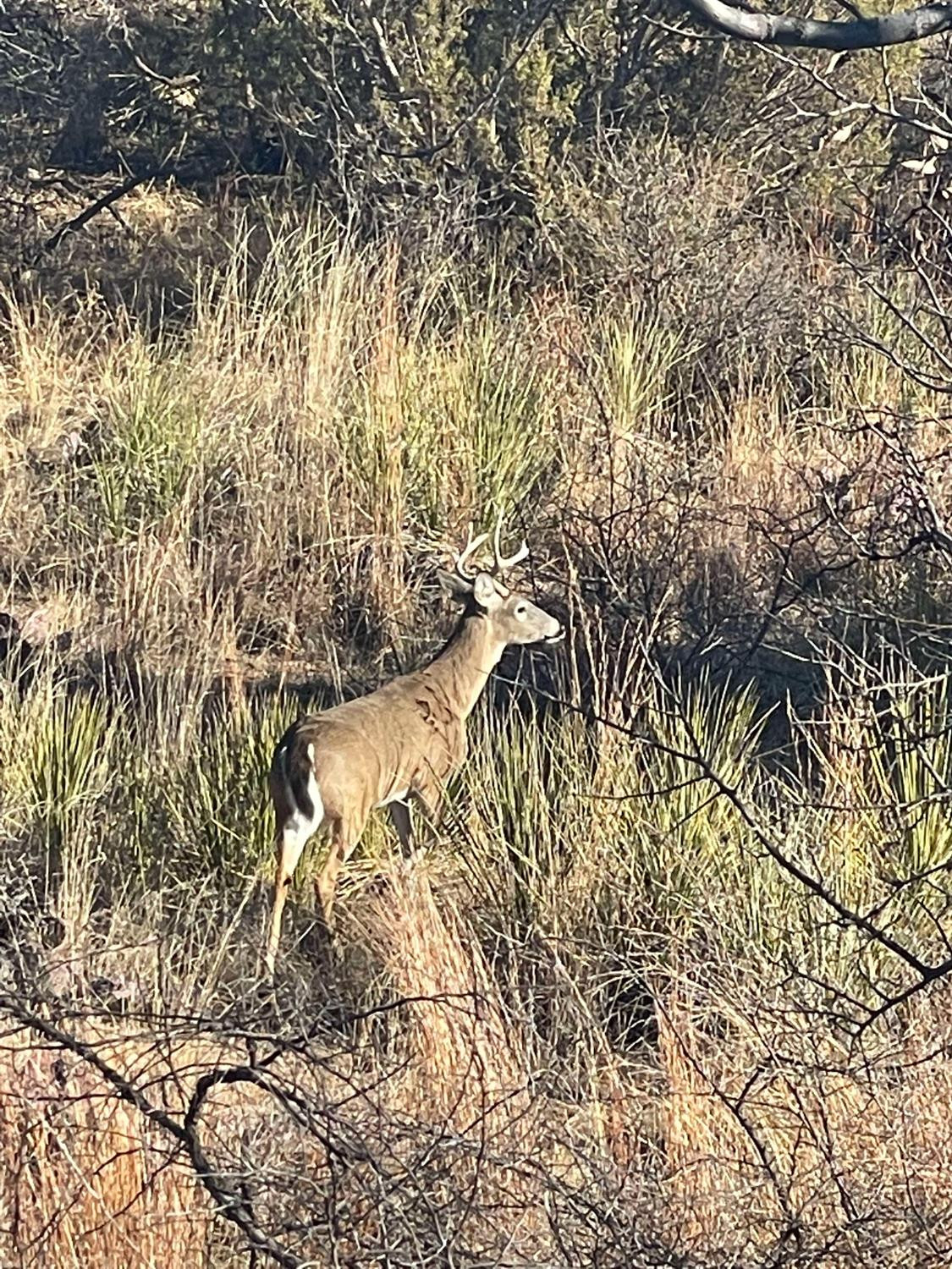 145 Lakesite Drive Spur, TX 79370 - Photo 10 of 20