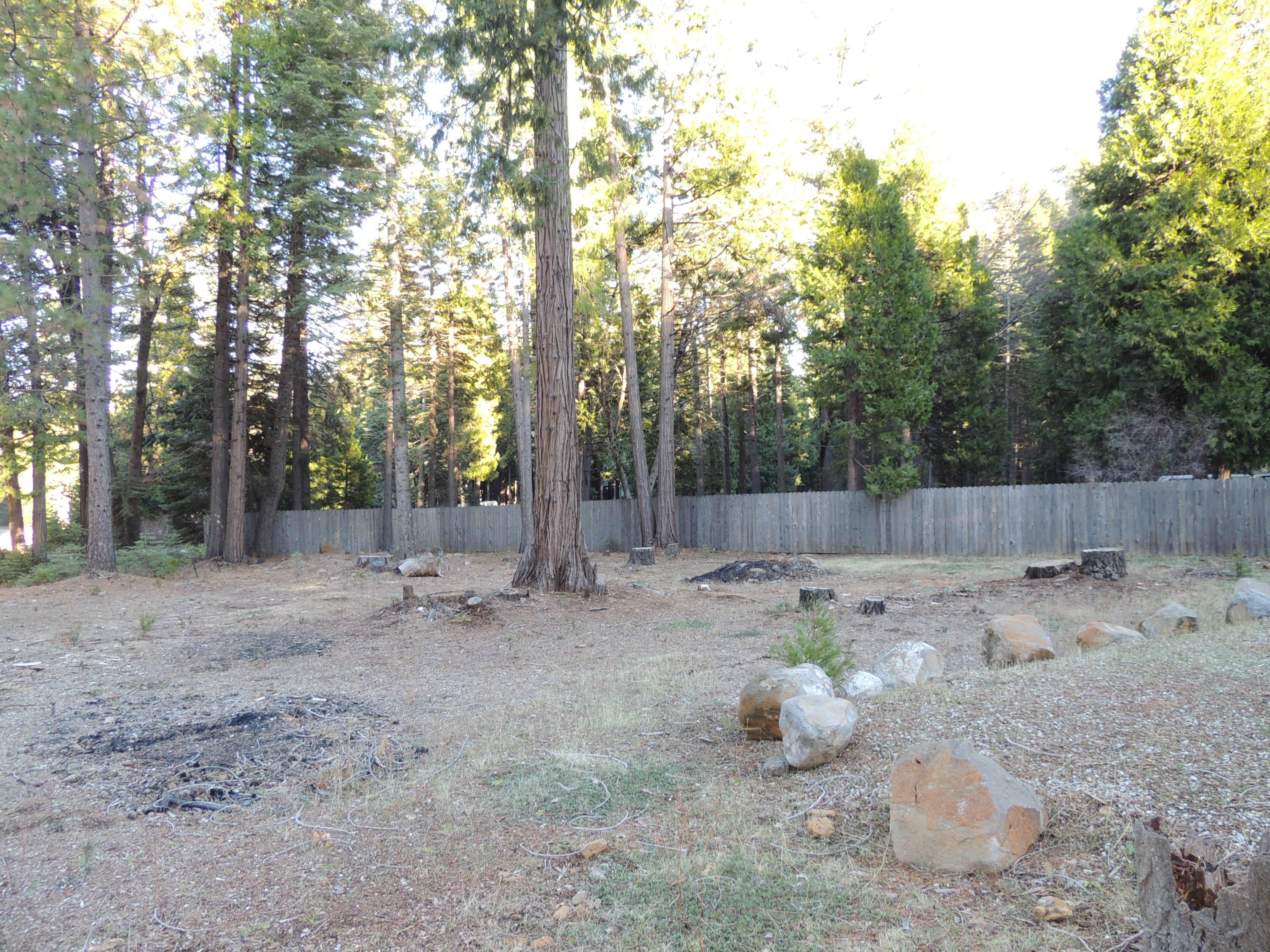 8233 Ritts Mill Road Shingletown, CA 96088 - Photo 13 of 14 Back Yard