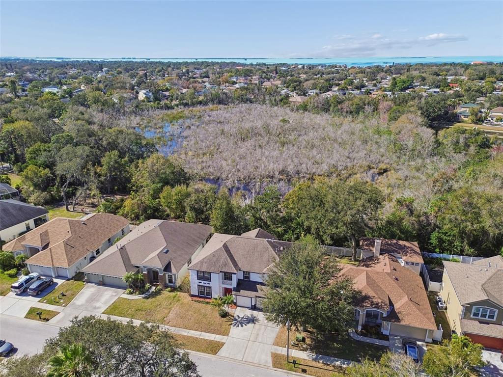 1828 Longview Lane Tarpon Springs, FL 34689 - Photo 70 of 78