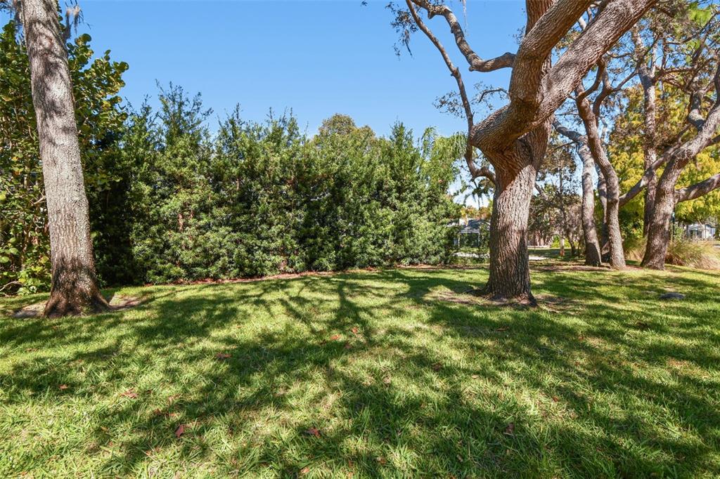 1828 Longview Lane Tarpon Springs, FL 34689 - Photo 73 of 78