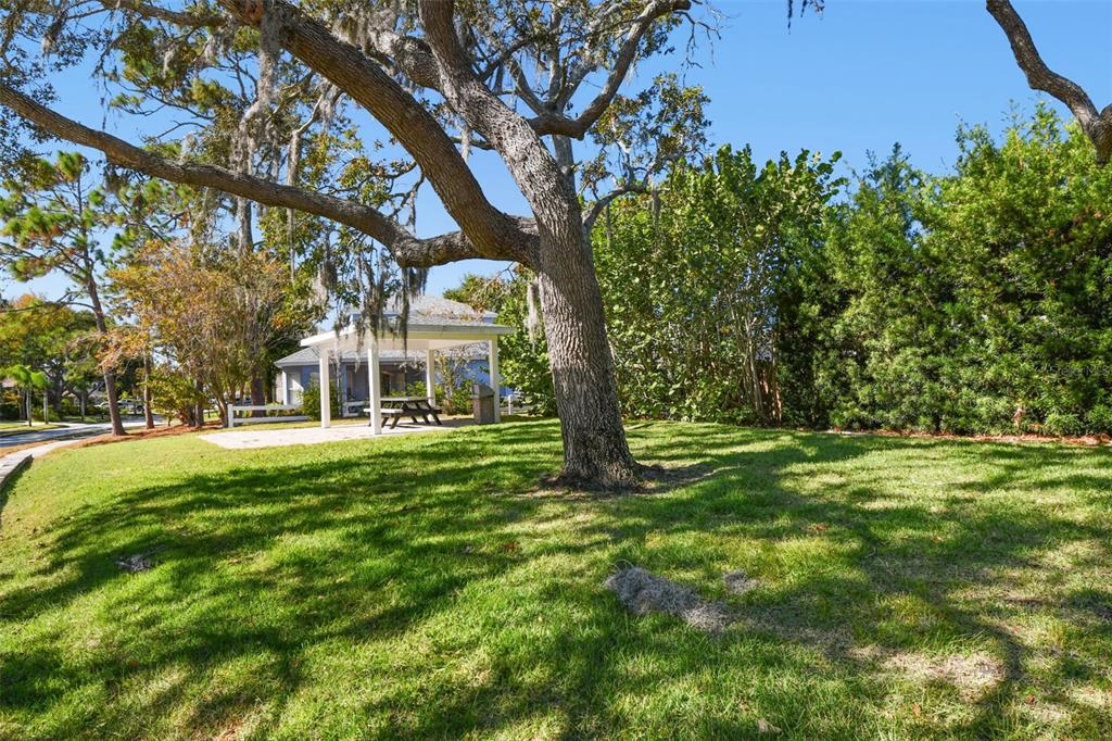 1828 Longview Lane Tarpon Springs, FL 34689 - Photo 74 of 78