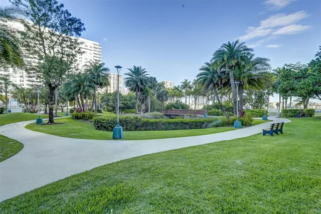 a view of a park with palm trees