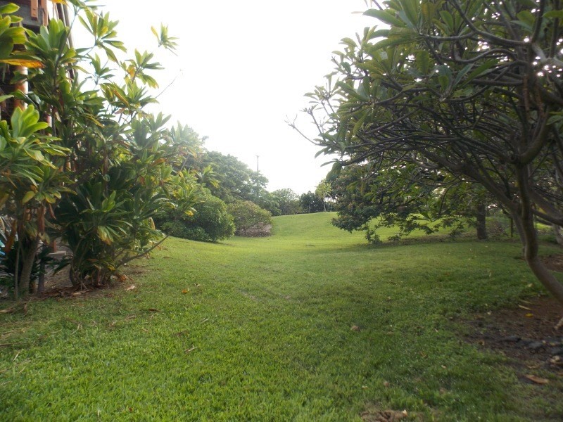 82-5996 Napoopoo Road Captain Cook, HI 96704 - Photo 17 of 23 Gallery Image 17