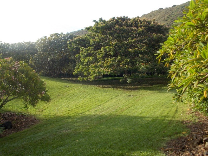 82-5996 Napoopoo Road Captain Cook, HI 96704 - Photo 19 of 23 Gallery Image 19