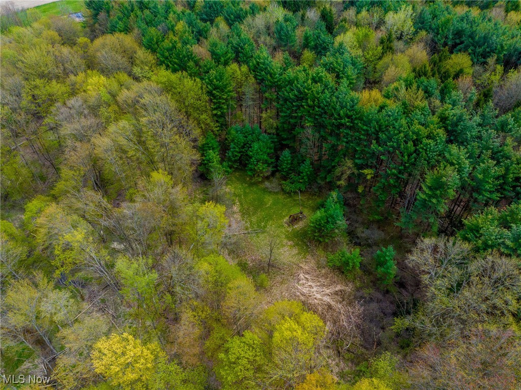 Crosby Creek Road Rome, OH 44085 - Photo 10 of 30 Drone / aerial view
