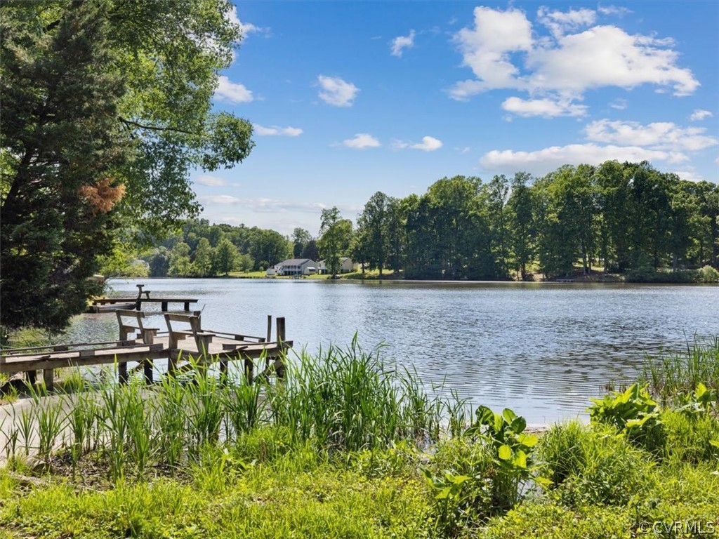 2249 Lakeview Drive Powhatan, VA 23139 - Photo 28 of 38 a backyard of a house with lots of green space
