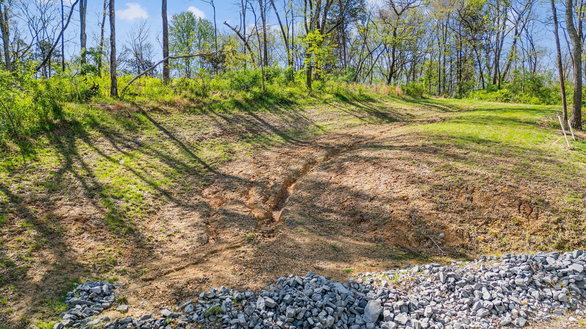 8377 Collins Road Nashville, TN 37221 - Photo 8 of 18 Gallery Image 8