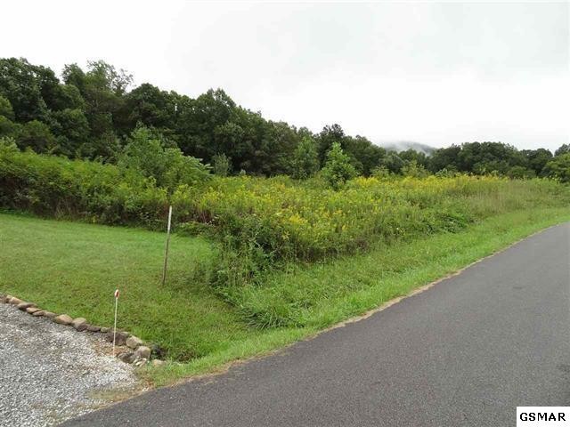 29 Sugar Tree Drive Sevierville, TN 37862 - Photo 1 of 12