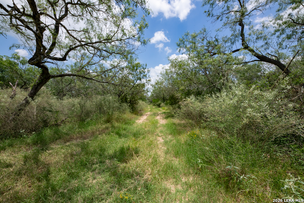 1393 Fox Trotter Road Seguin, TX 78155 - Photo 15 of 46
