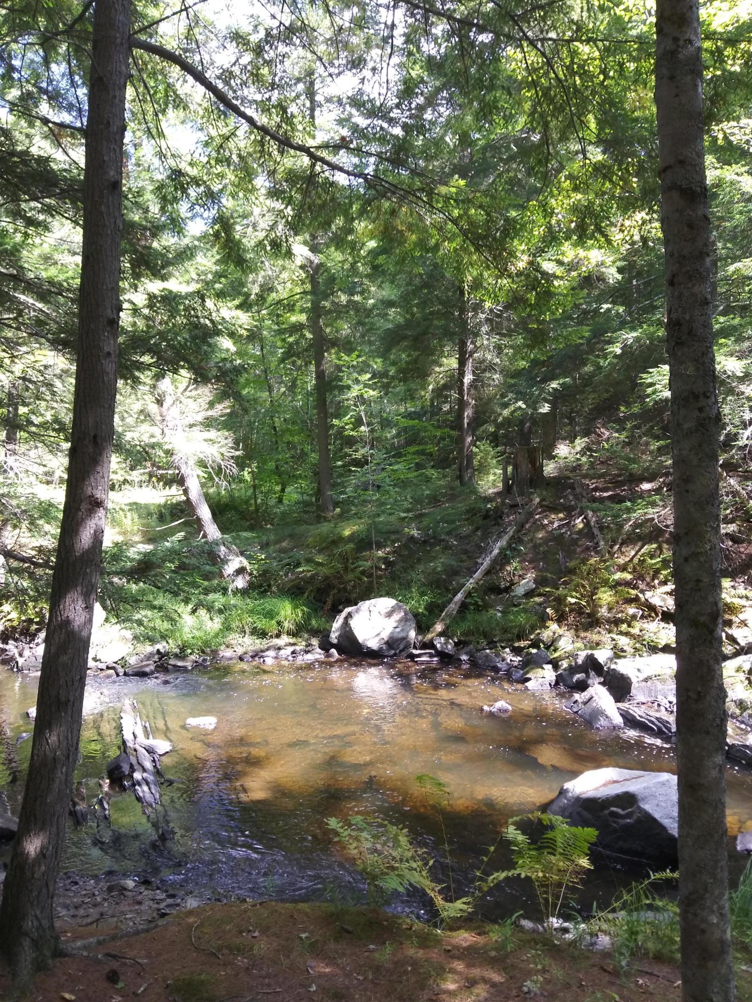 0 Washington Road Jefferson, ME 04348 - Photo 7 of 9 20190915_124448