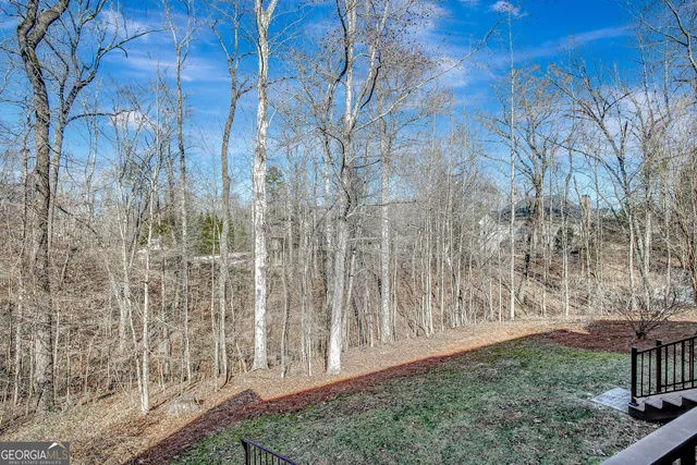 $1,000,000 | 23 Clover Leaf Court, Newnan, GA 30265