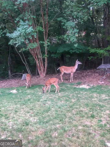 $1,000,000 | 23 Clover Leaf Court, Newnan, GA 30265