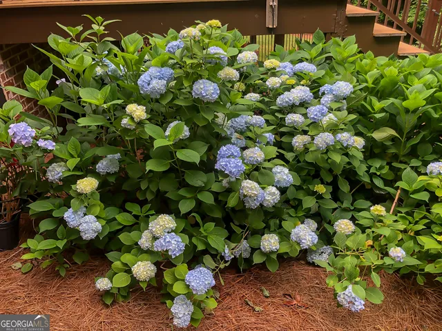 $1,000,000 | 23 Clover Leaf Court, Newnan, GA 30265