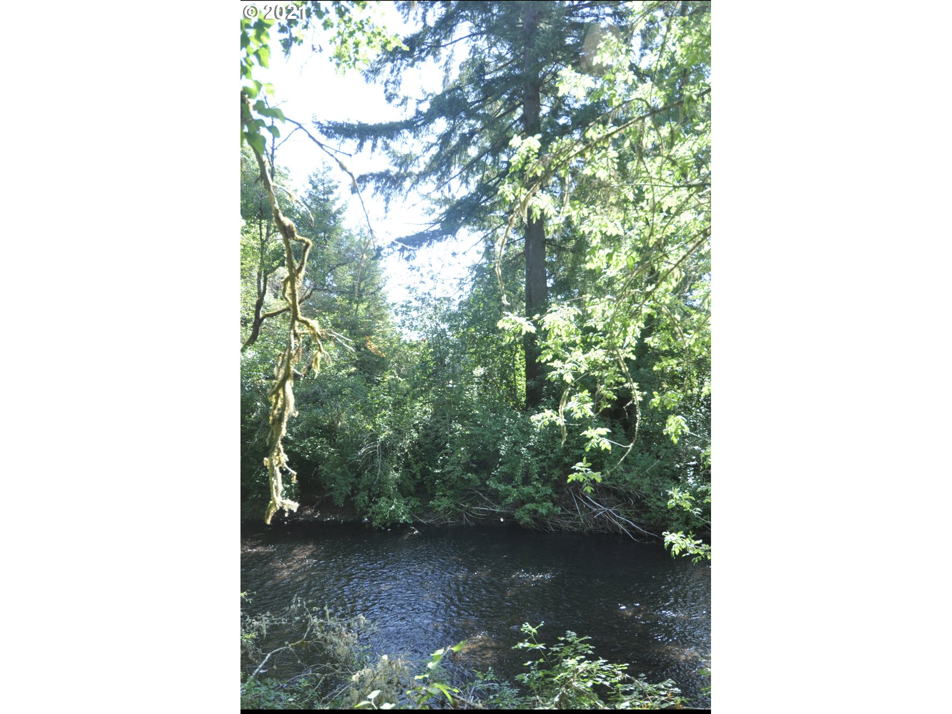 92465 Marcola Road Marcola, OR 97454 - Photo 2 of 32 Gallery Image 2
