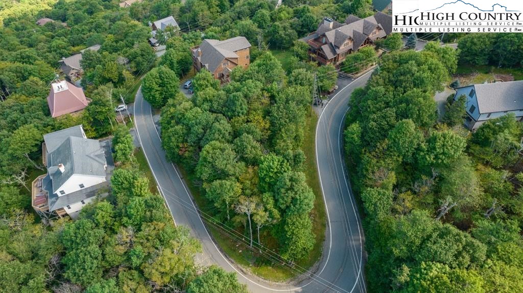 303 North Pinnacle Ridge Road Beech Mountain, NC 28604 - Photo 2 of 6