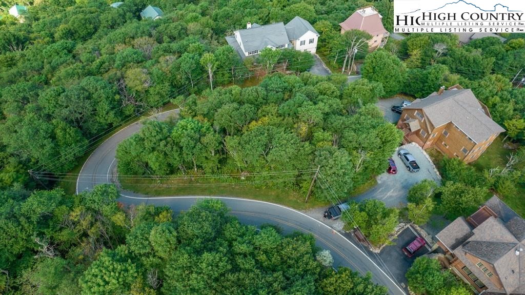 303 North Pinnacle Ridge Road Beech Mountain, NC 28604 - Photo 3 of 6