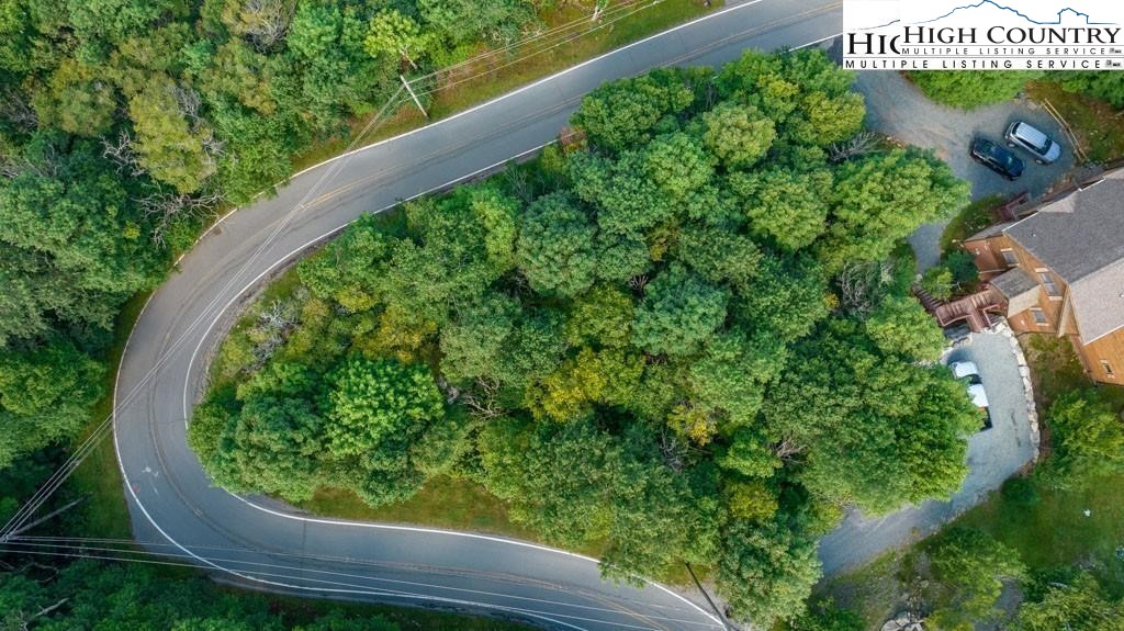 303 North Pinnacle Ridge Road Beech Mountain, NC 28604 - Photo 4 of 6