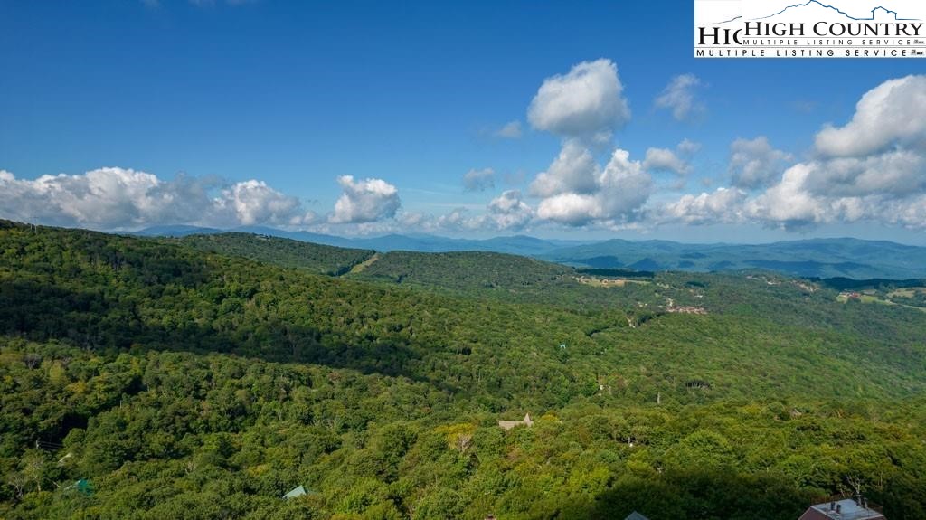 303 North Pinnacle Ridge Road Beech Mountain, NC 28604 - Photo 5 of 6