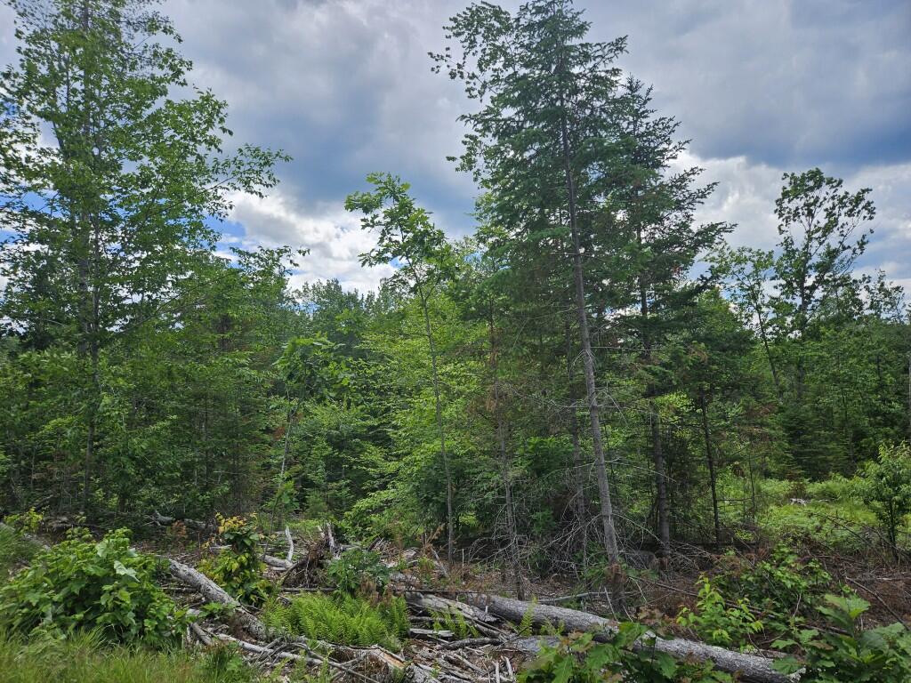 Multiple Quaker Ridge Road Leeds, ME 04263 - Photo 27 of 79 20260624_124457