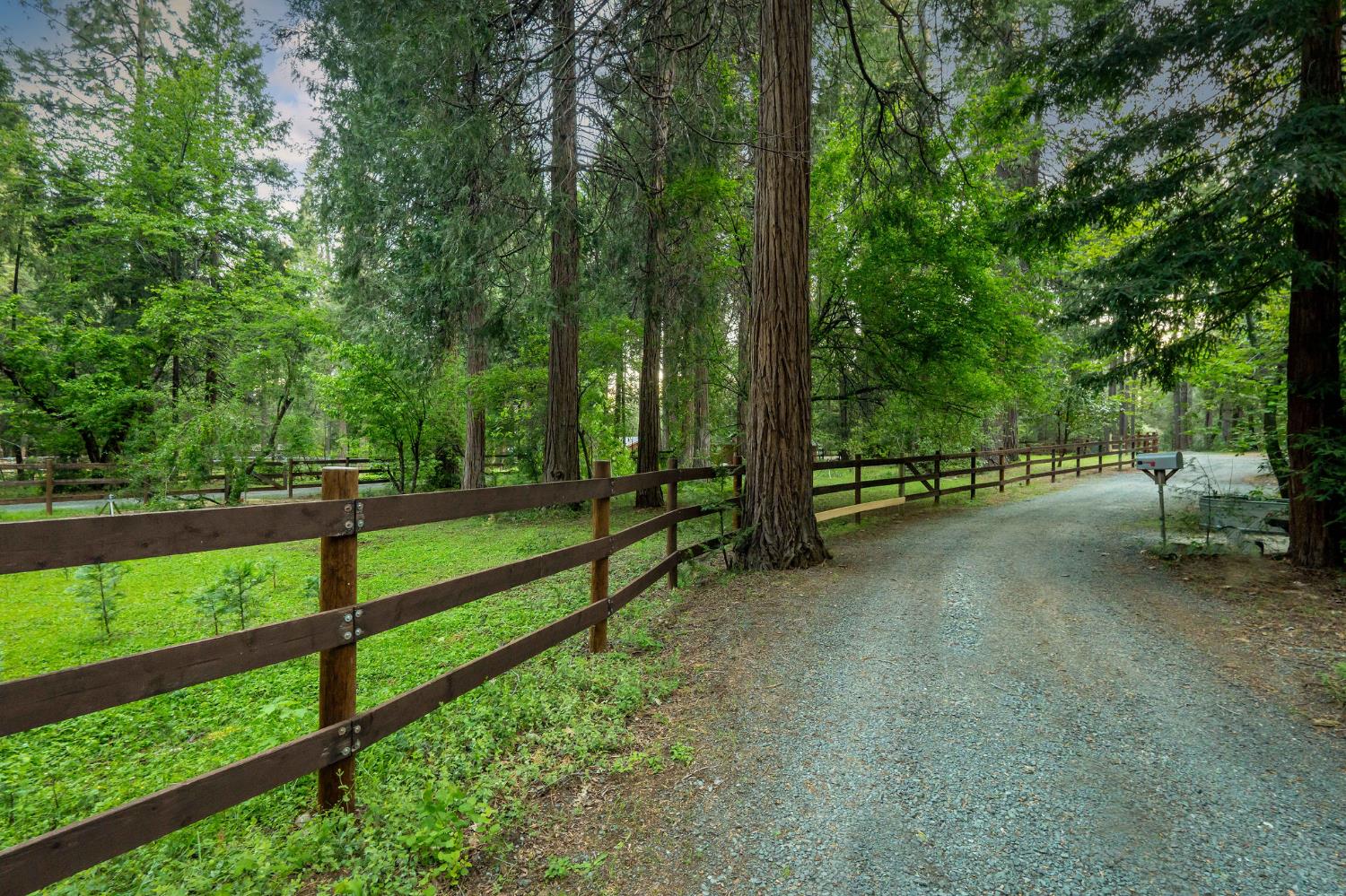 15188 North Bloomfield Road Nevada City, CA 95959 - Photo 60 of 73