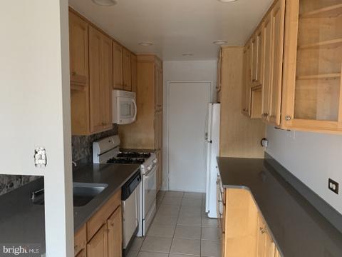 1900 Lyttonsville Road, Unit 918 Silver Spring, MD 20910 - Photo 3 of 6 Kitchen