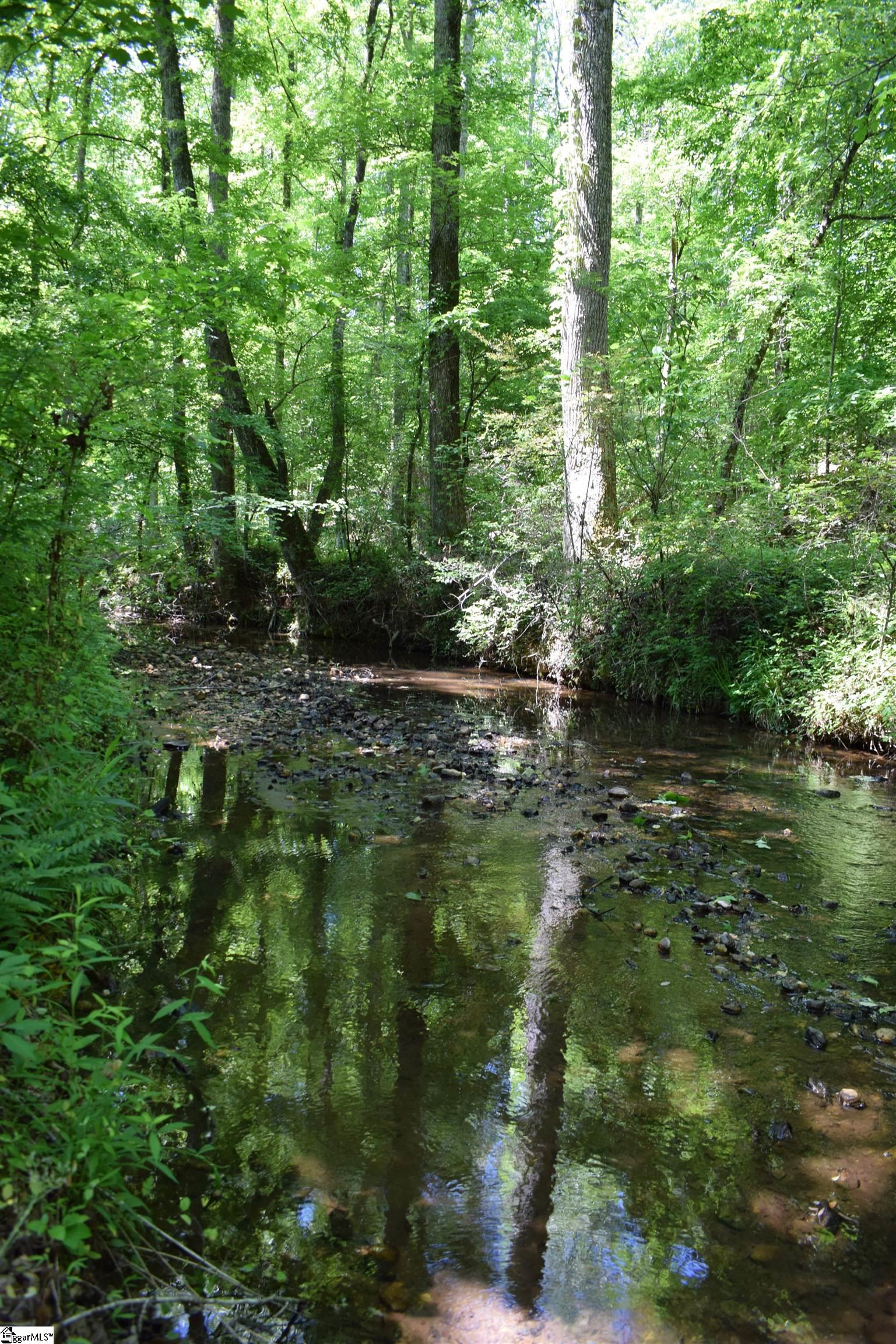 Floyd Blackwell Road Tryon, NC 28782 - Photo 23 of 27