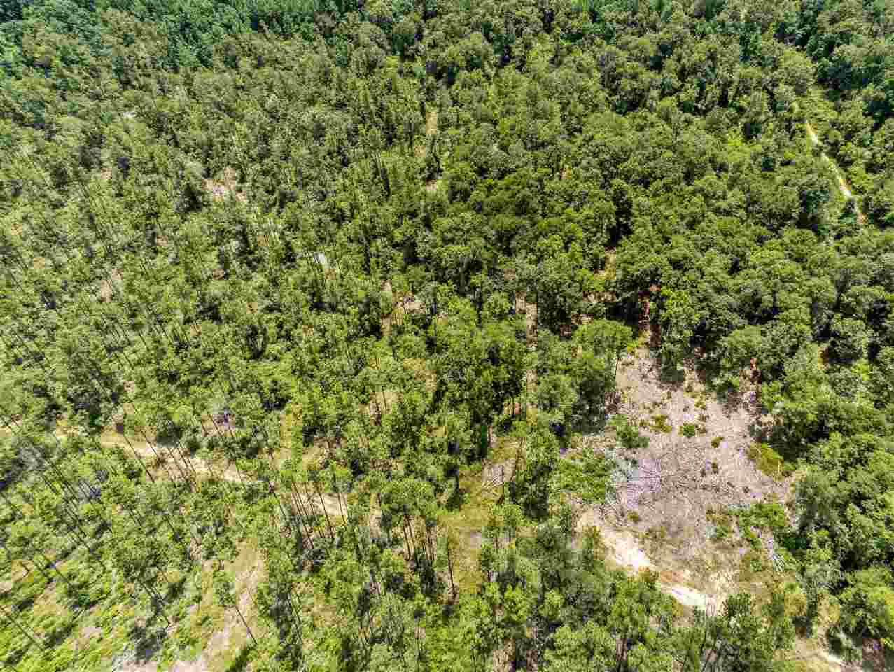 120 Paul Road Bay Minette, AL 36507 - Photo 10 of 11