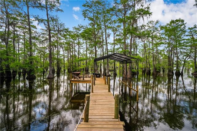 429 Pardee Road Campti, LA 71411 - Photo 30 of 42