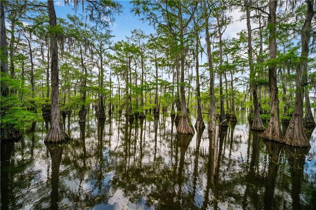 429 Pardee Road Campti, LA 71411 - Photo 33 of 42
