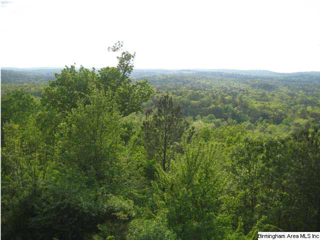 2129 Brook Highland Ridge Birmingham, AL 35242 - Photo 13 of 28