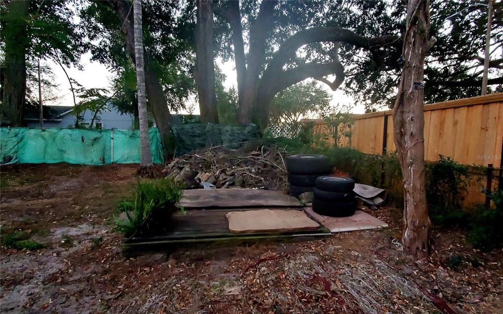 2208 Valencia Road Orlando, FL 32803 - Photo 45 of 45 a view of a garden with large trees