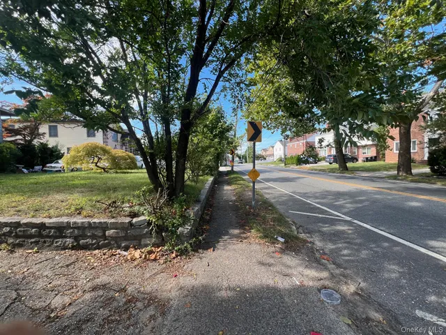 a street view with large trees