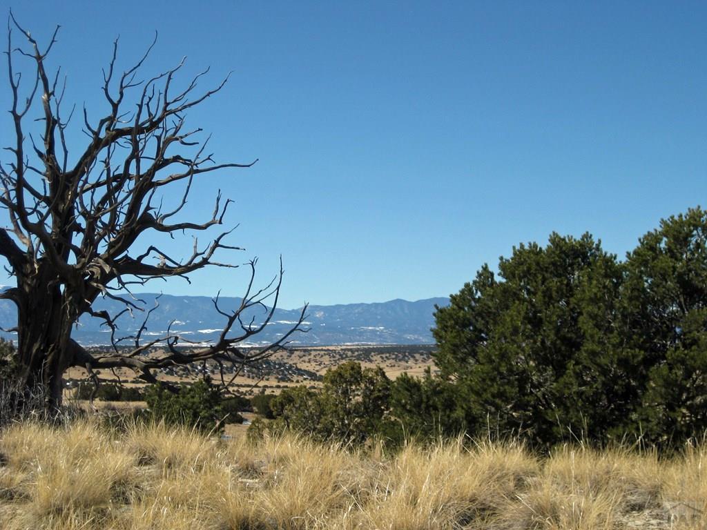 Lot 8 Wyatt Court Rye, CO 81069 - Photo 11 of 21