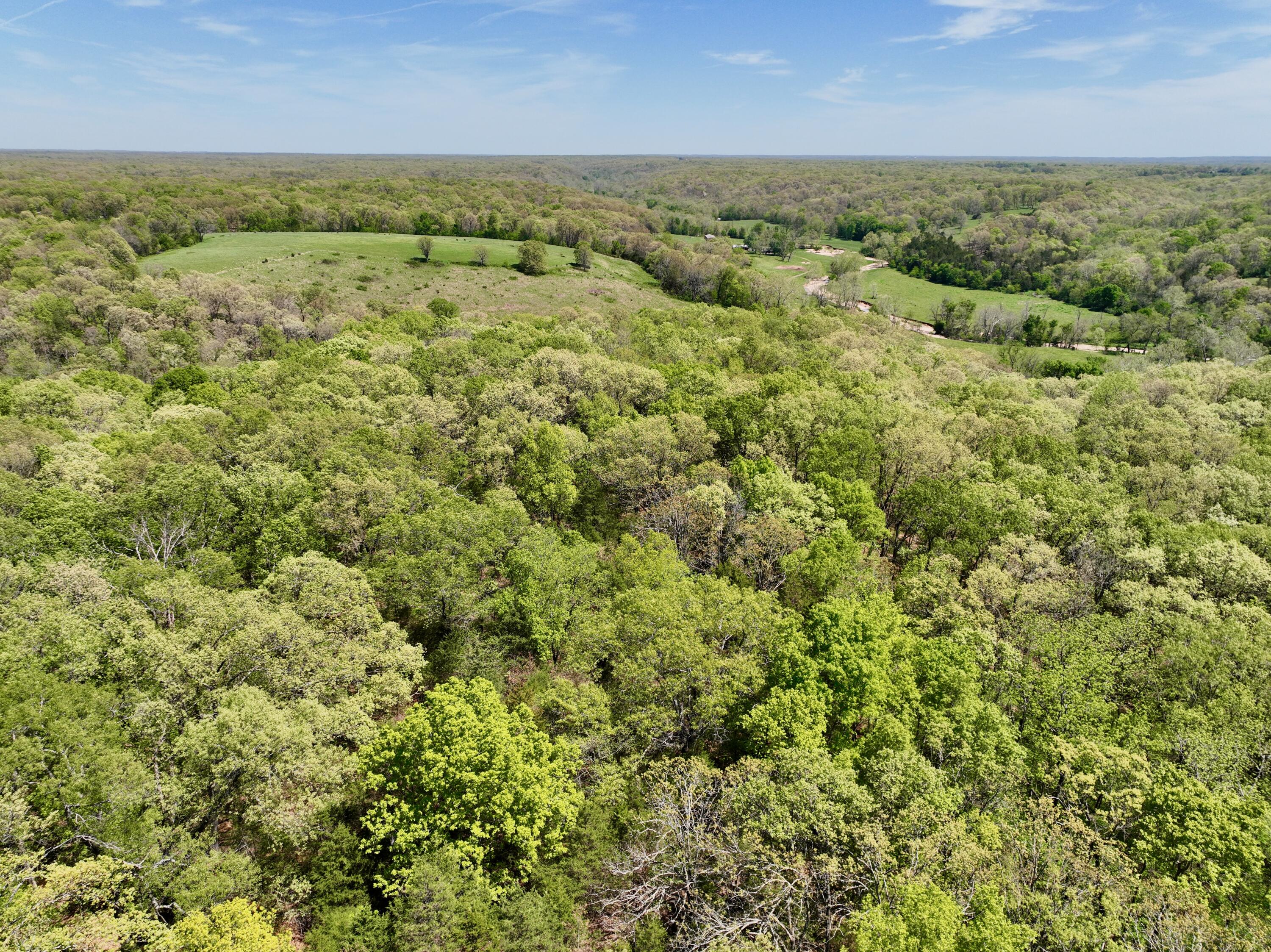 0 Corner Road Rogersville, MO 65742 - Photo 12 of 19 DJI_0450
