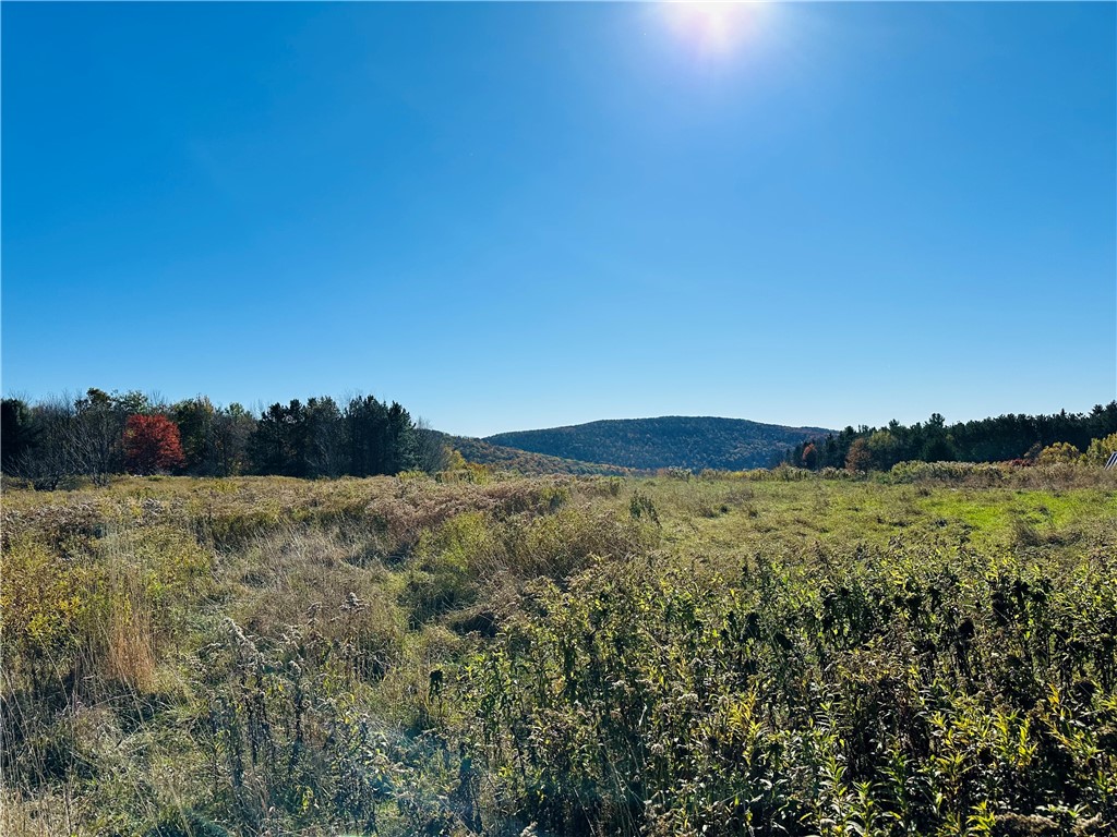 0 Macgibbon Road Walton, NY 13856 - Photo 2 of 8