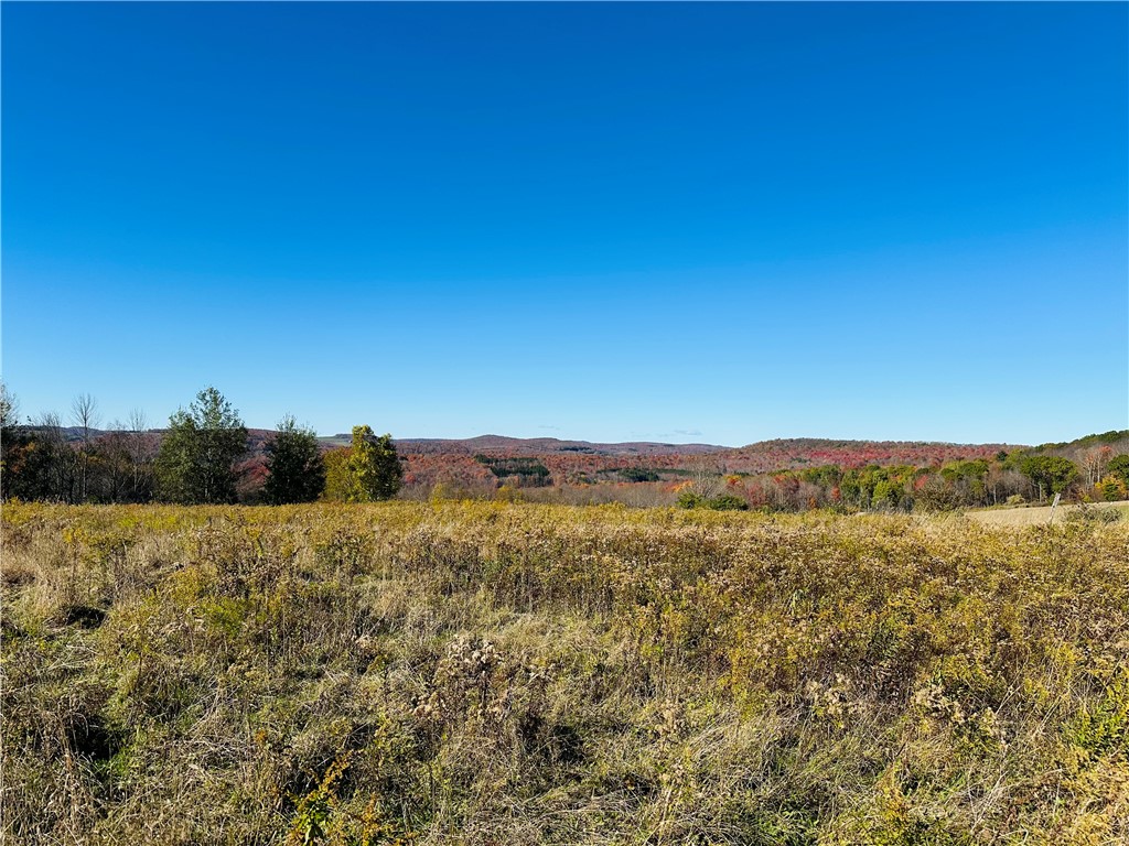 0 Macgibbon Road Walton, NY 13856 - Photo 3 of 8