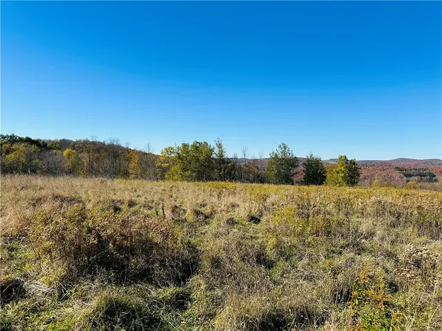 $65,000 | 0 Macgibbon Road, Walton, NY 13856