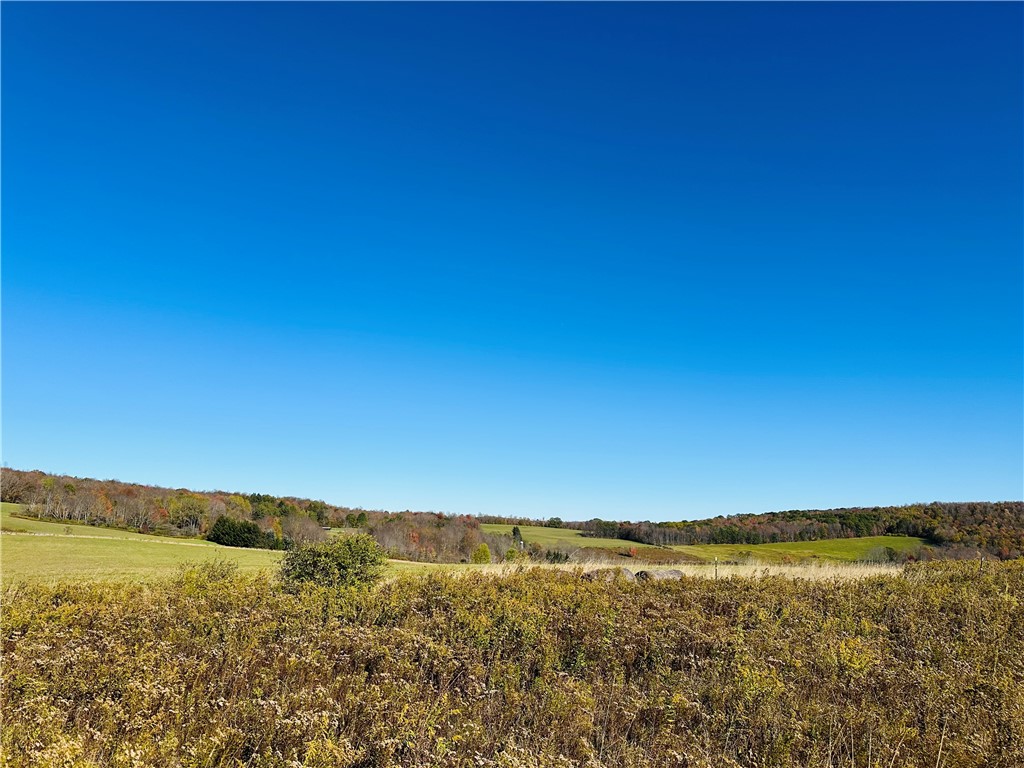 0 Macgibbon Road Walton, NY 13856 - Photo 5 of 8