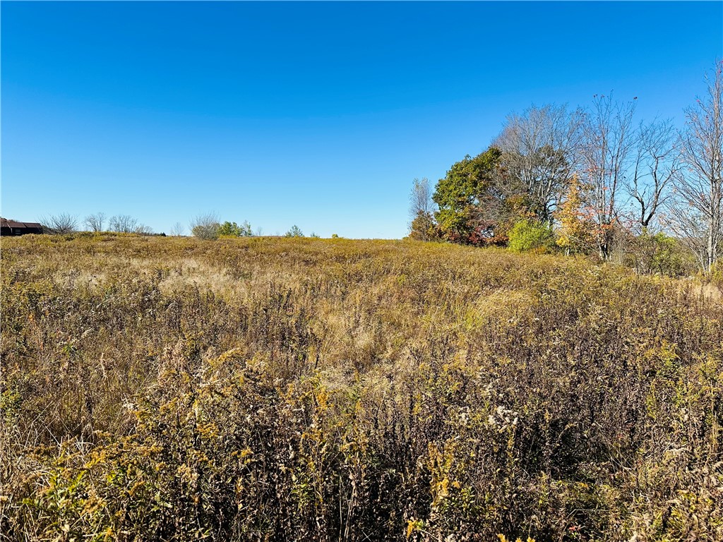 0 Macgibbon Road Walton, NY 13856 - Photo 6 of 8