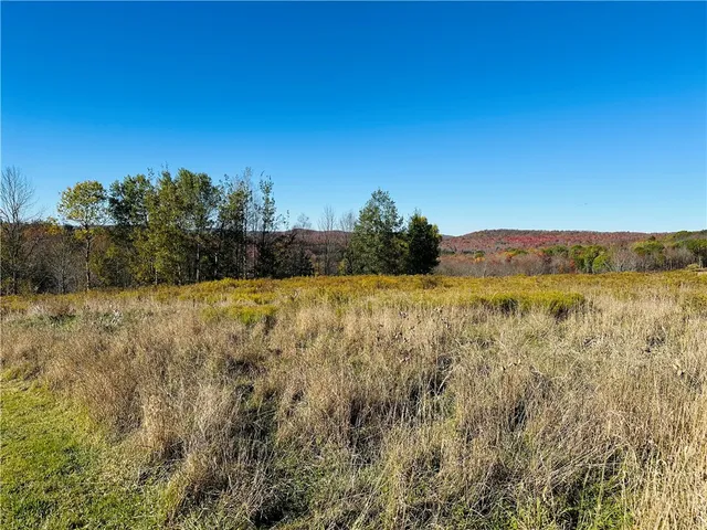 $65,000 | 0 Macgibbon Road, Walton, NY 13856