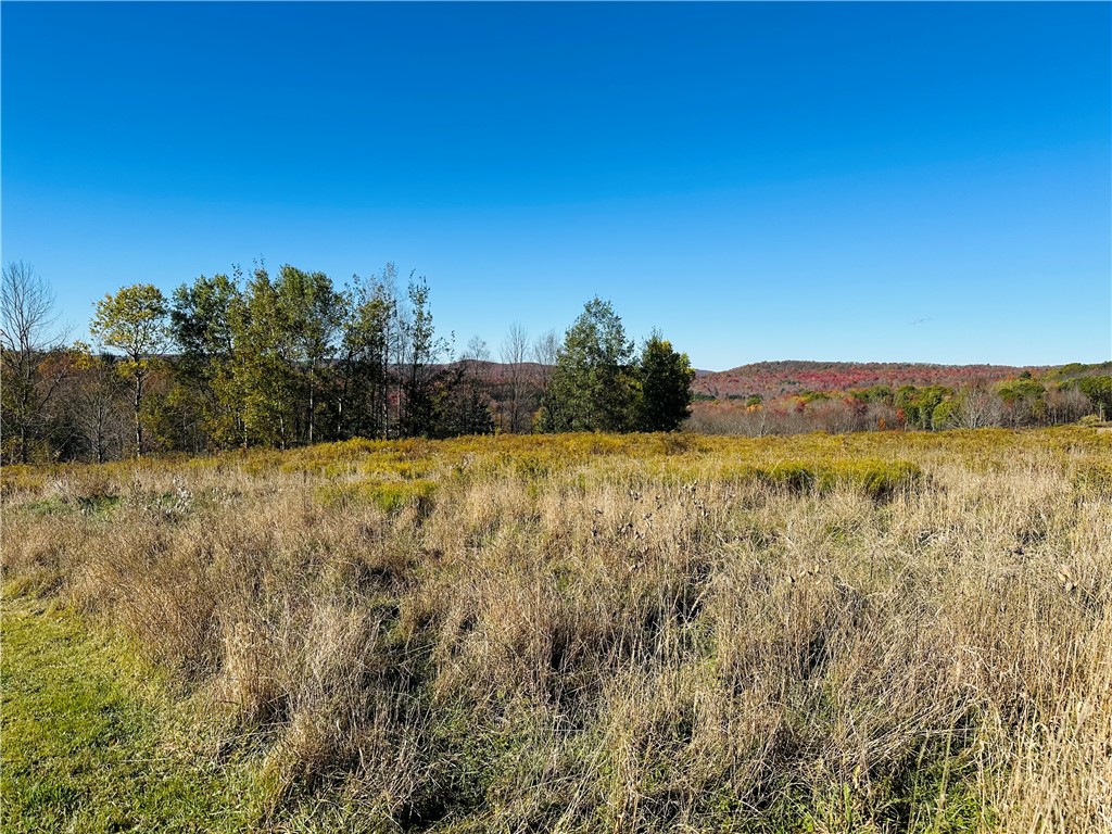 0 Macgibbon Road Walton, NY 13856 - Photo 7 of 8