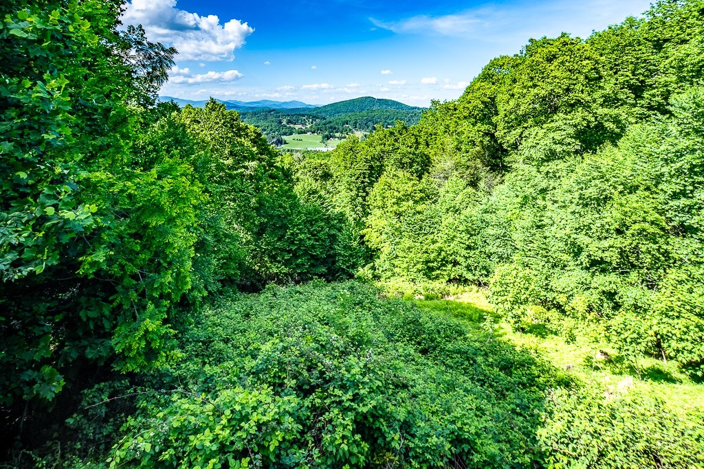 354 Brown Mountain Ridge Road Blowing Rock, NC 28605 - Photo 28 of 48