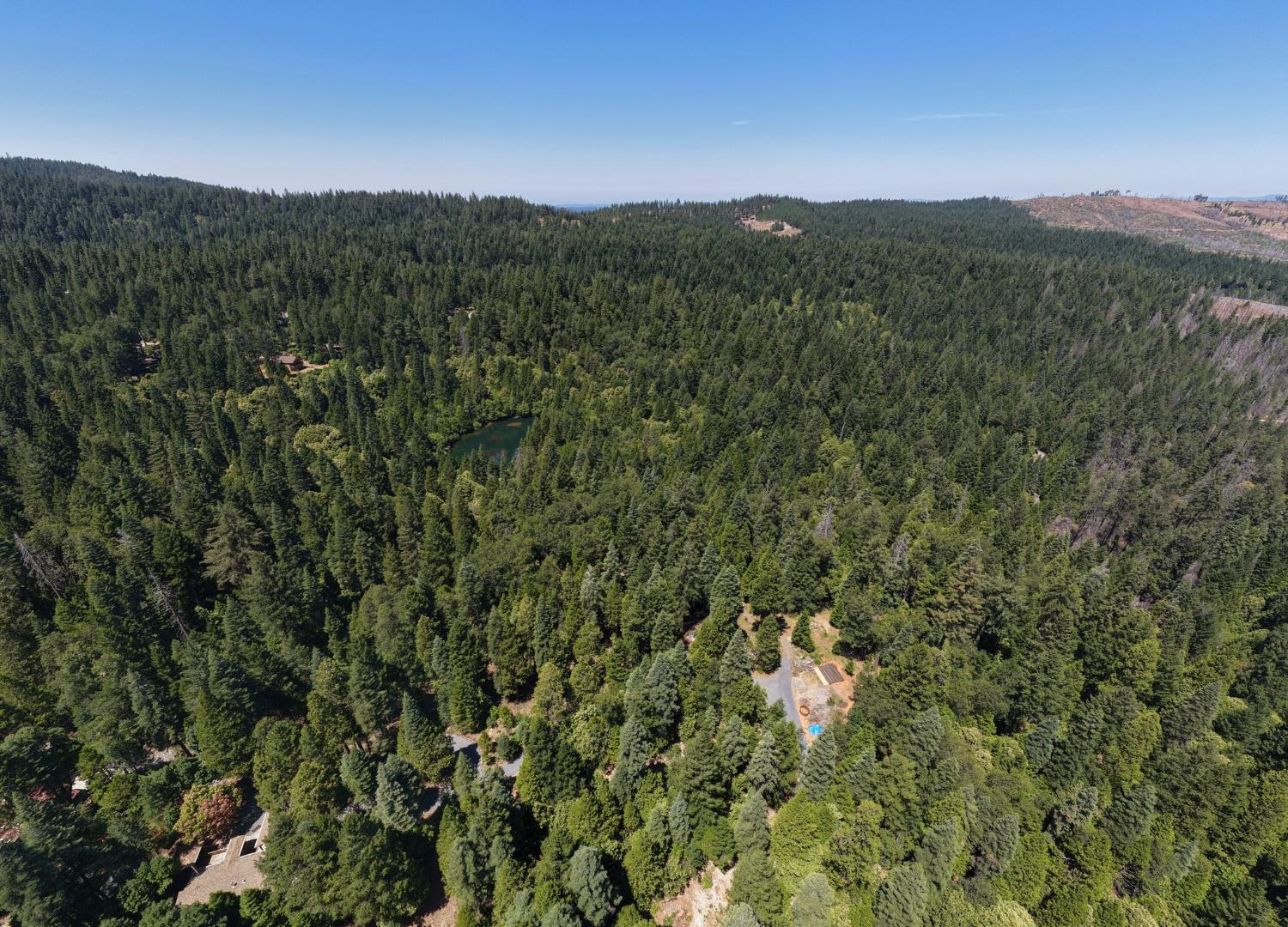 10075 White Fir Road Georgetown, CA 95634 - Photo 34 of 35