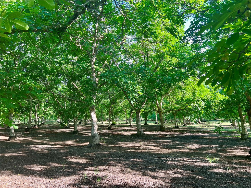 0 West Sacramento Avenue Chico, CA 95973 - Photo 1 of 2 a view of tree
