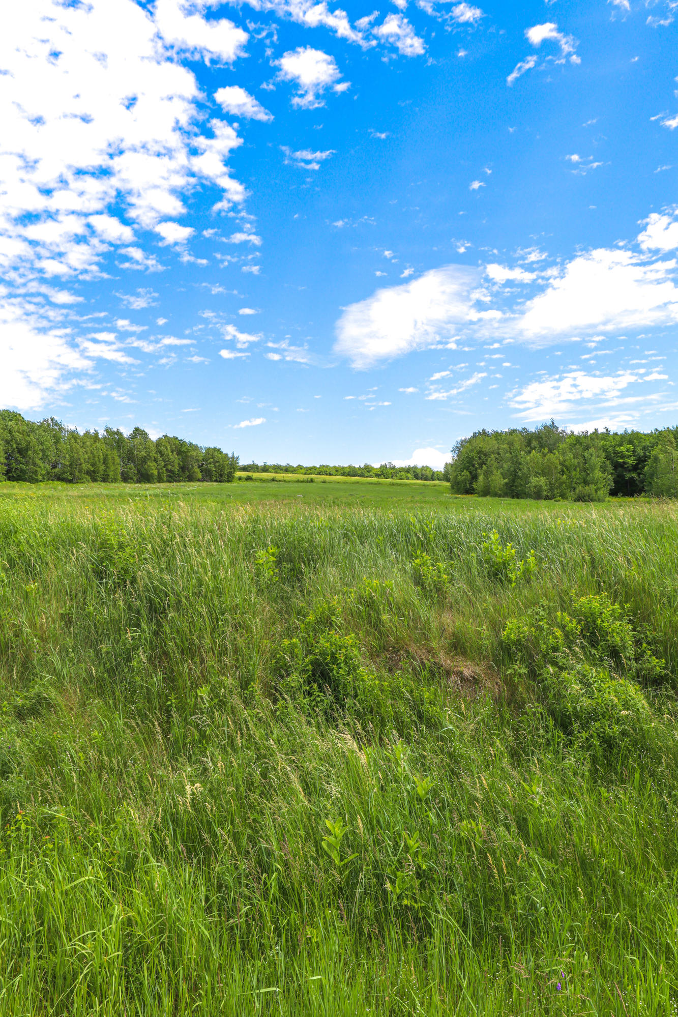 L59 Enfield Road Lincoln, ME 04457 - Photo 13 of 23 Expansive Fields