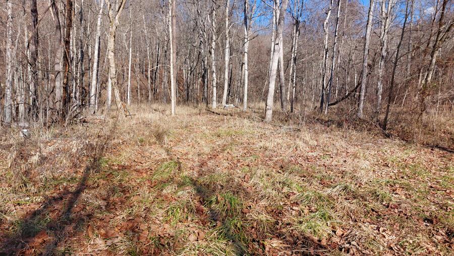 0 East Side Dexter Road Rutland, OH 45775 - Photo 7 of 9 07