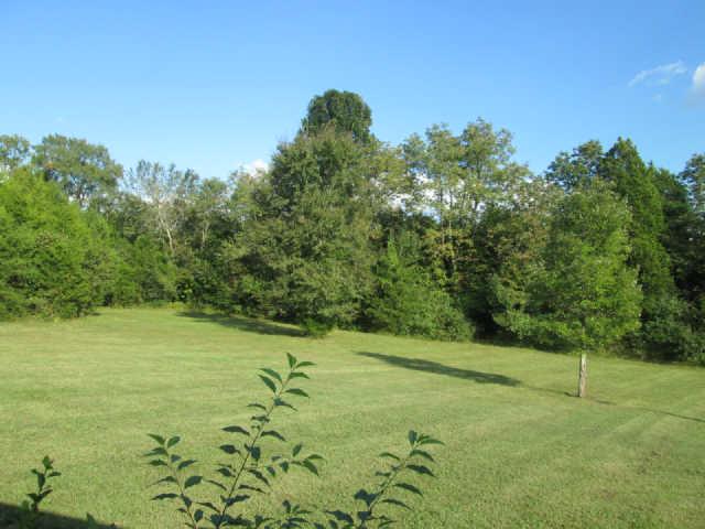 121 Lakeshore Road Mount Juliet, TN 37122 - Photo 14 of 20 VIEW FROM THE REAR OF THE HOME, PRIVACY OF THE WOODS AND WILDLIFE
