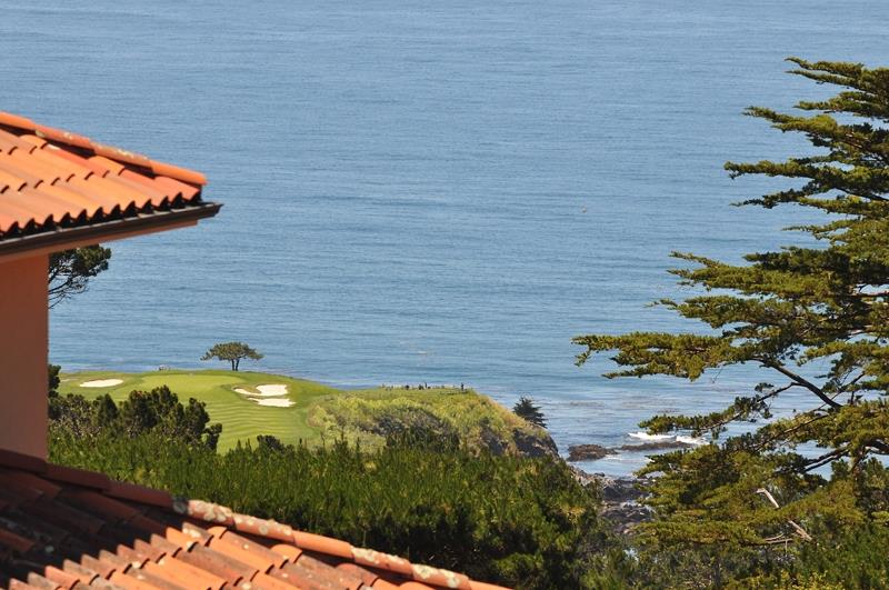 1600 Viscaino Road Pebble Beach, CA 93953 - Photo 1 of 11 a view of a backyard with plants