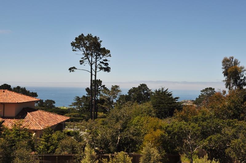 1600 Viscaino Road Pebble Beach, CA 93953 - Photo 10 of 11 a view of a lake