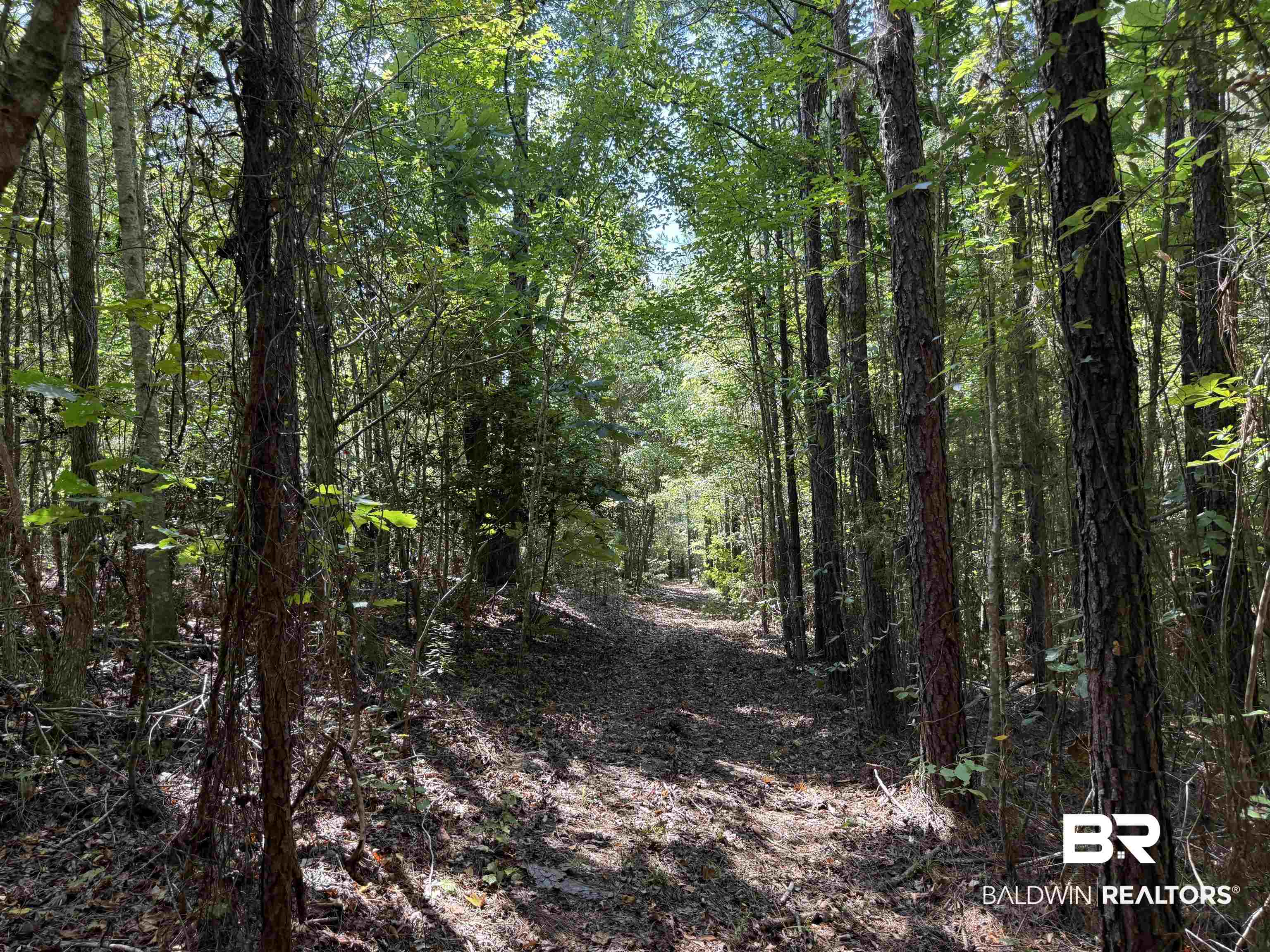 13850 Tallahatta Springs Road Thomasville, AL 36784 - Photo 19 of 27 View of tree filled area